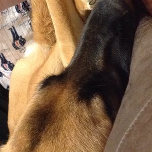 Meet your Posher, Mary